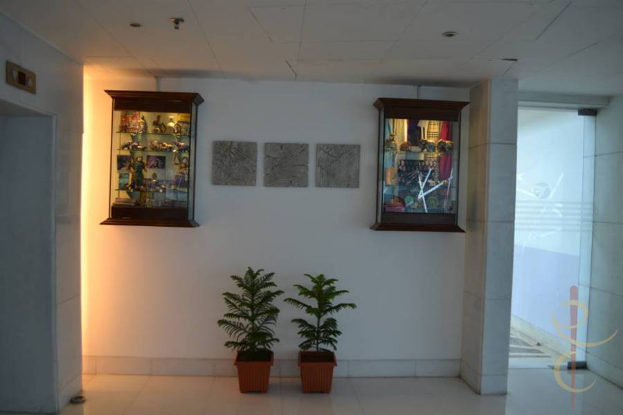 EMAAR MGF (ITC Fortune), Jaipur